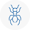 Ant Removals In Crook