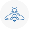 Bee Nest Removal Crook