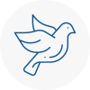 Bird Prevention Crook