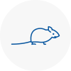 Mice Exterminators In Crook