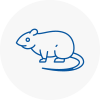 Rat Control Crook