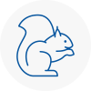 Crook Rodent Removals