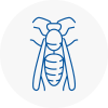 Crook Wasp Nest Removal